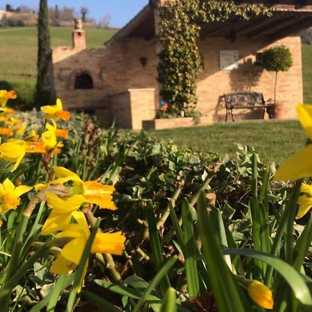 톨렌티노 Casale Delle Rondini B&B 외부 사진