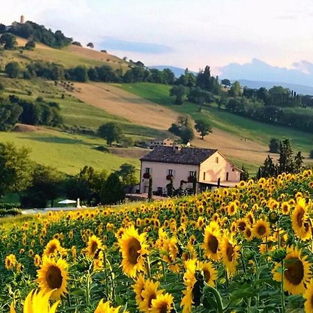 톨렌티노 Casale Delle Rondini B&B 외부 사진