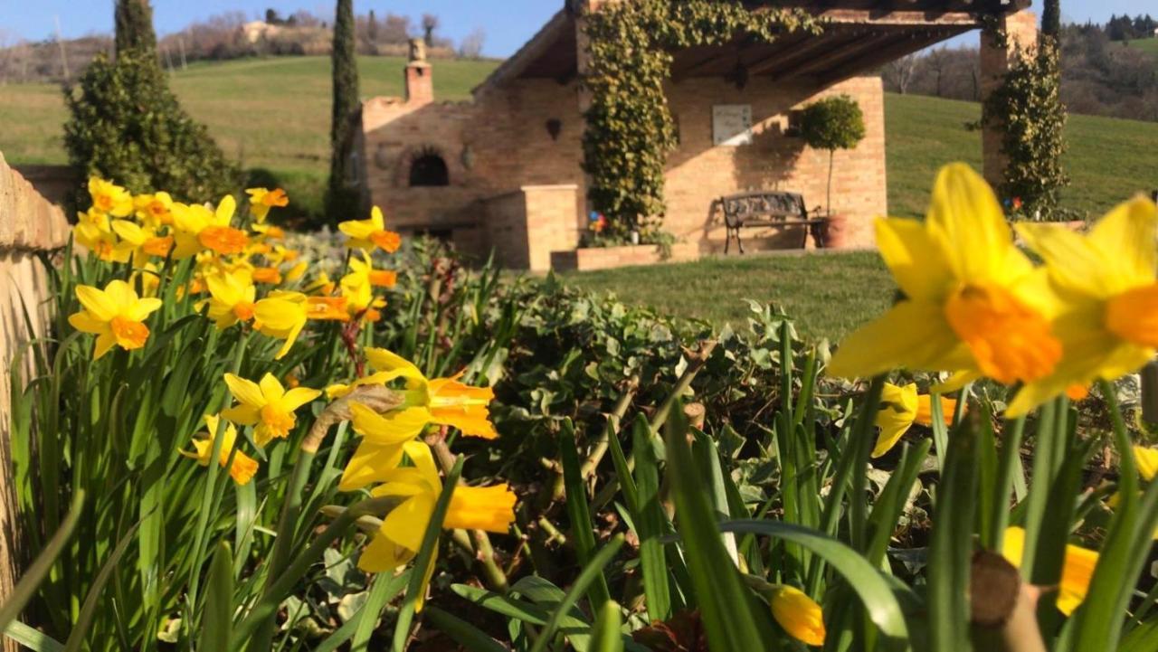 톨렌티노 Casale Delle Rondini B&B 외부 사진