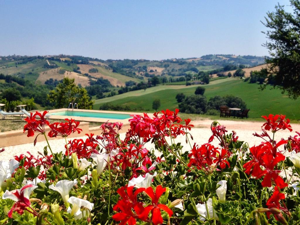 톨렌티노 Casale Delle Rondini B&B 외부 사진