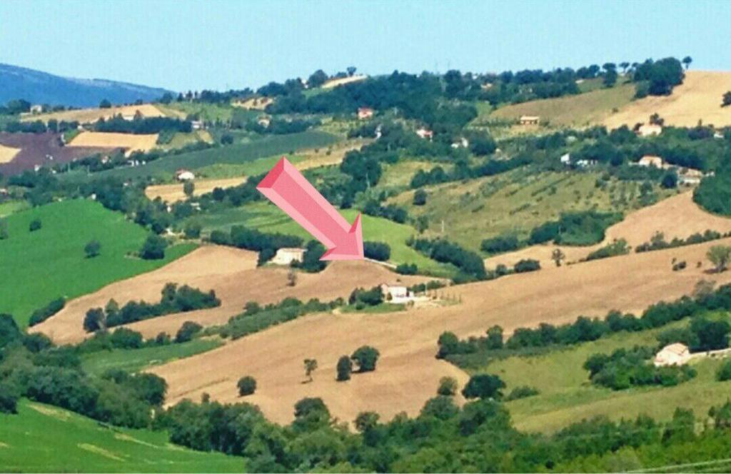 톨렌티노 Casale Delle Rondini B&B 외부 사진