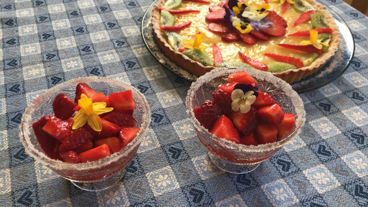 톨렌티노 Casale Delle Rondini B&B 외부 사진