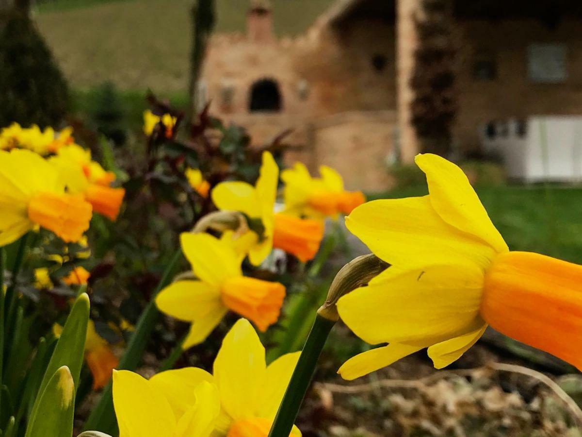 톨렌티노 Casale Delle Rondini B&B 외부 사진