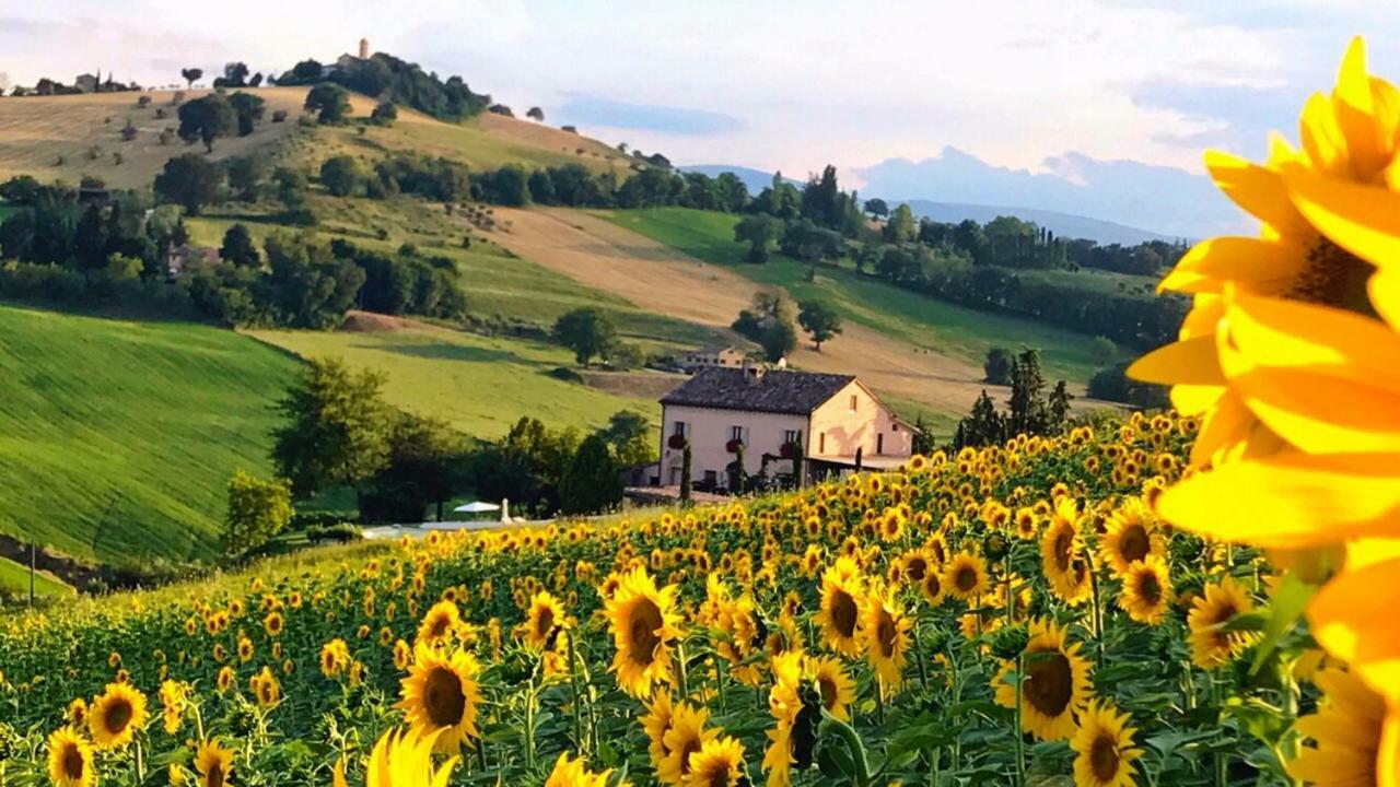 톨렌티노 Casale Delle Rondini B&B 외부 사진