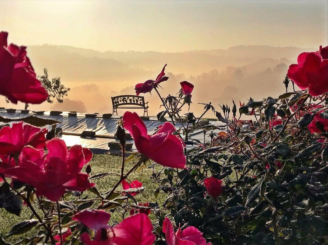 톨렌티노 Casale Delle Rondini B&B 외부 사진