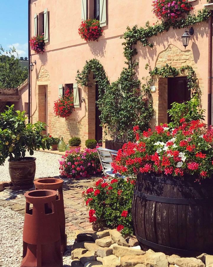 톨렌티노 Casale Delle Rondini B&B 외부 사진