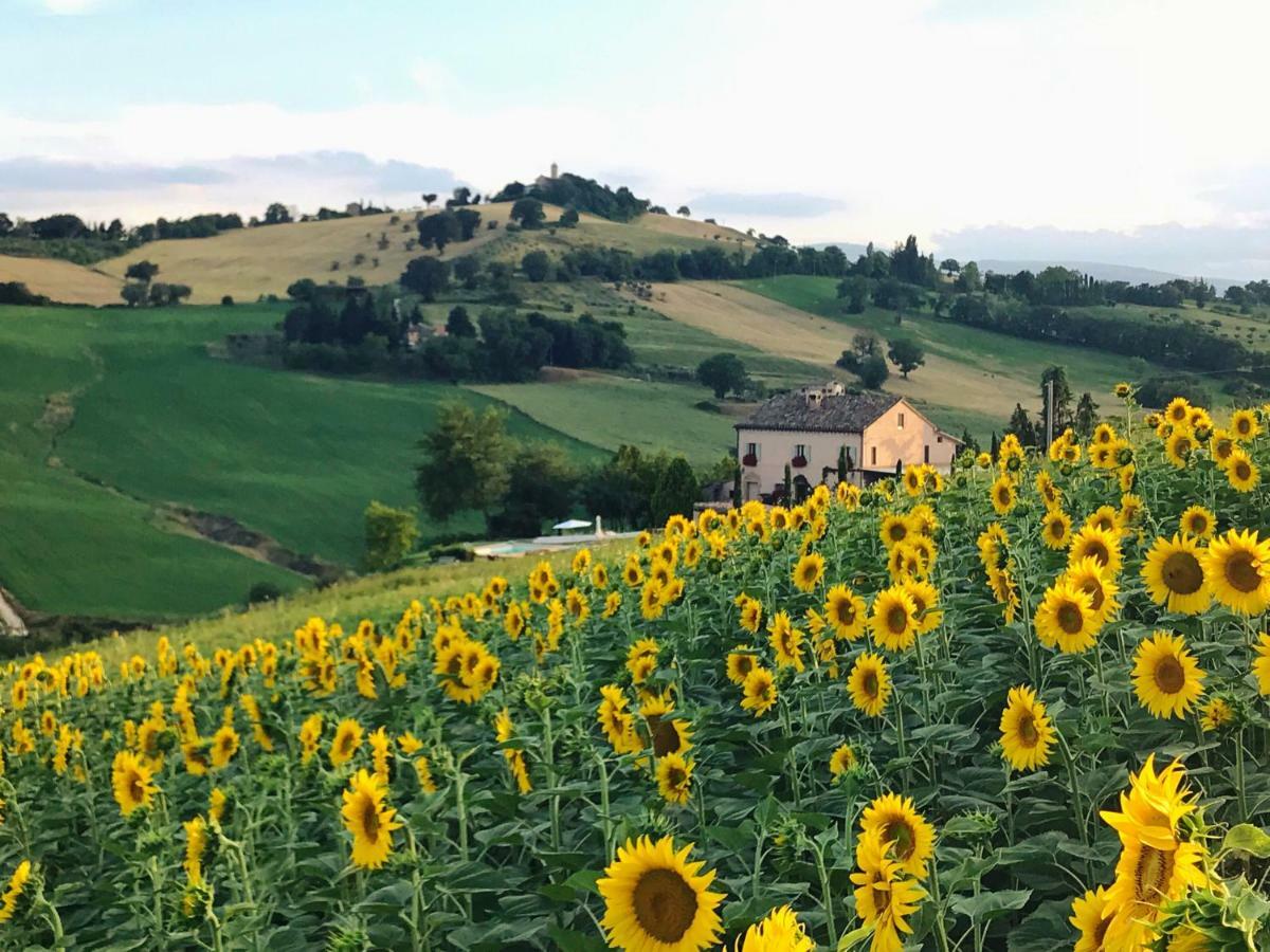 톨렌티노 Casale Delle Rondini B&B 외부 사진