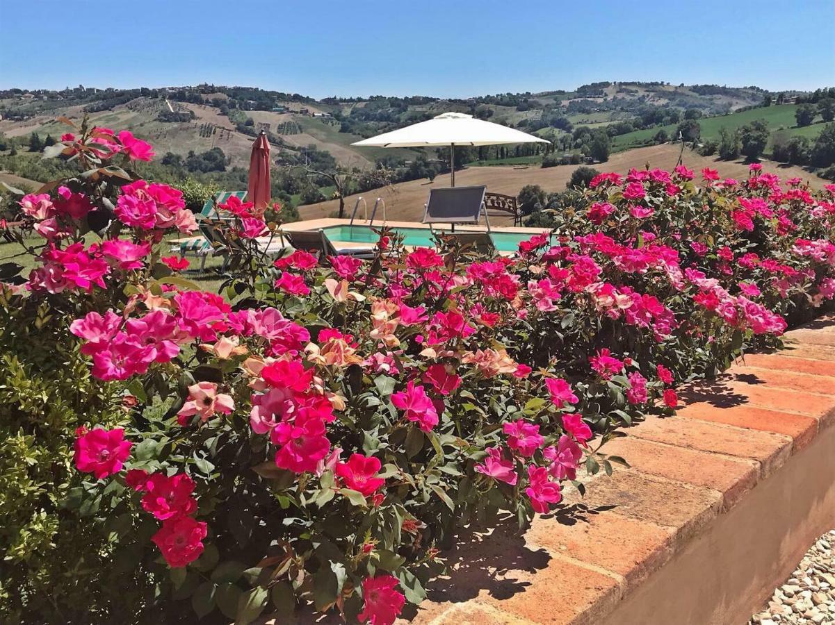 톨렌티노 Casale Delle Rondini B&B 외부 사진